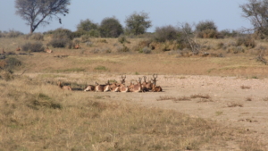 Namibia - N/a’an ku sê