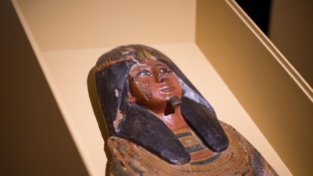 Il restauro in diretta dei sarcofagi egizi