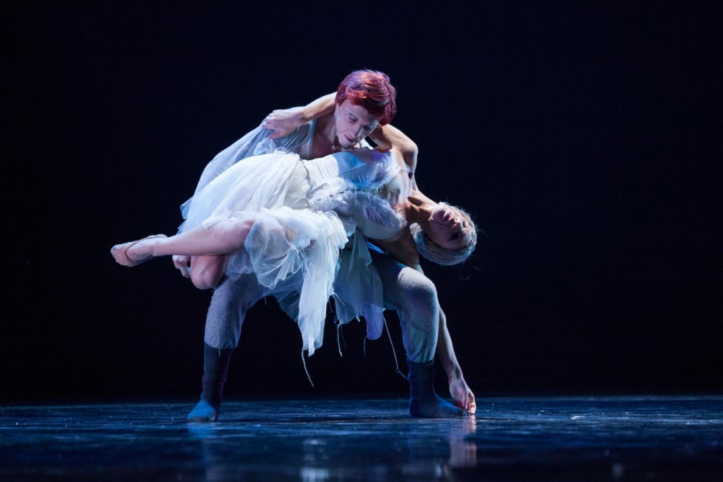 il-lago-dei-cigni-ovvero-il-canto-2