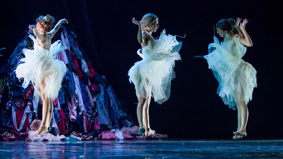 il-lago-dei-cigni-ovvero-il-canto-4