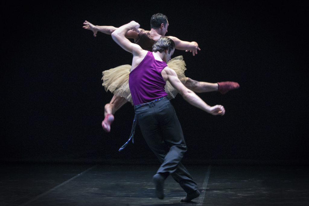 violaberlanda2017_vbr_1367