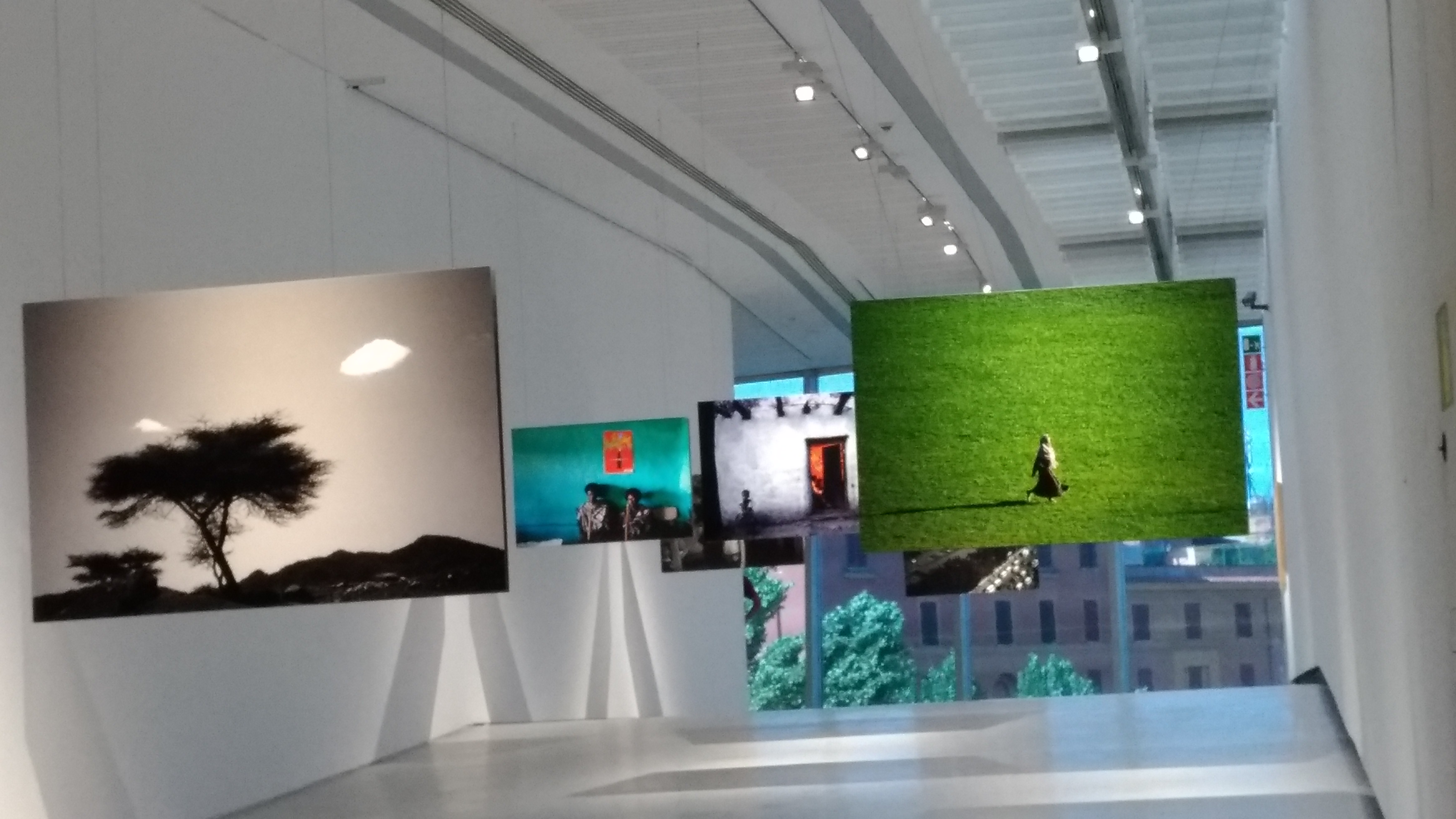 african-metropolis-3-1