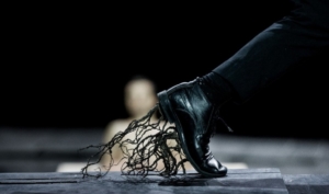 the_great_tamer_-dimitris_papaioannou__julian_mommert