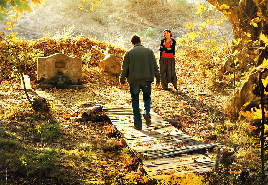 lalbero-dei-frutti-selvatici