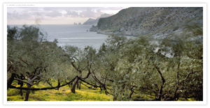 Grande Libro Fotografico: Italia Paesaggio Costiero - Fotografia di Luca Tamagnini - Edizioni Photoatlante Roma