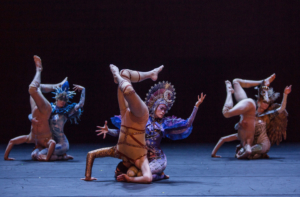 photo_photo-gregory-batardon_4