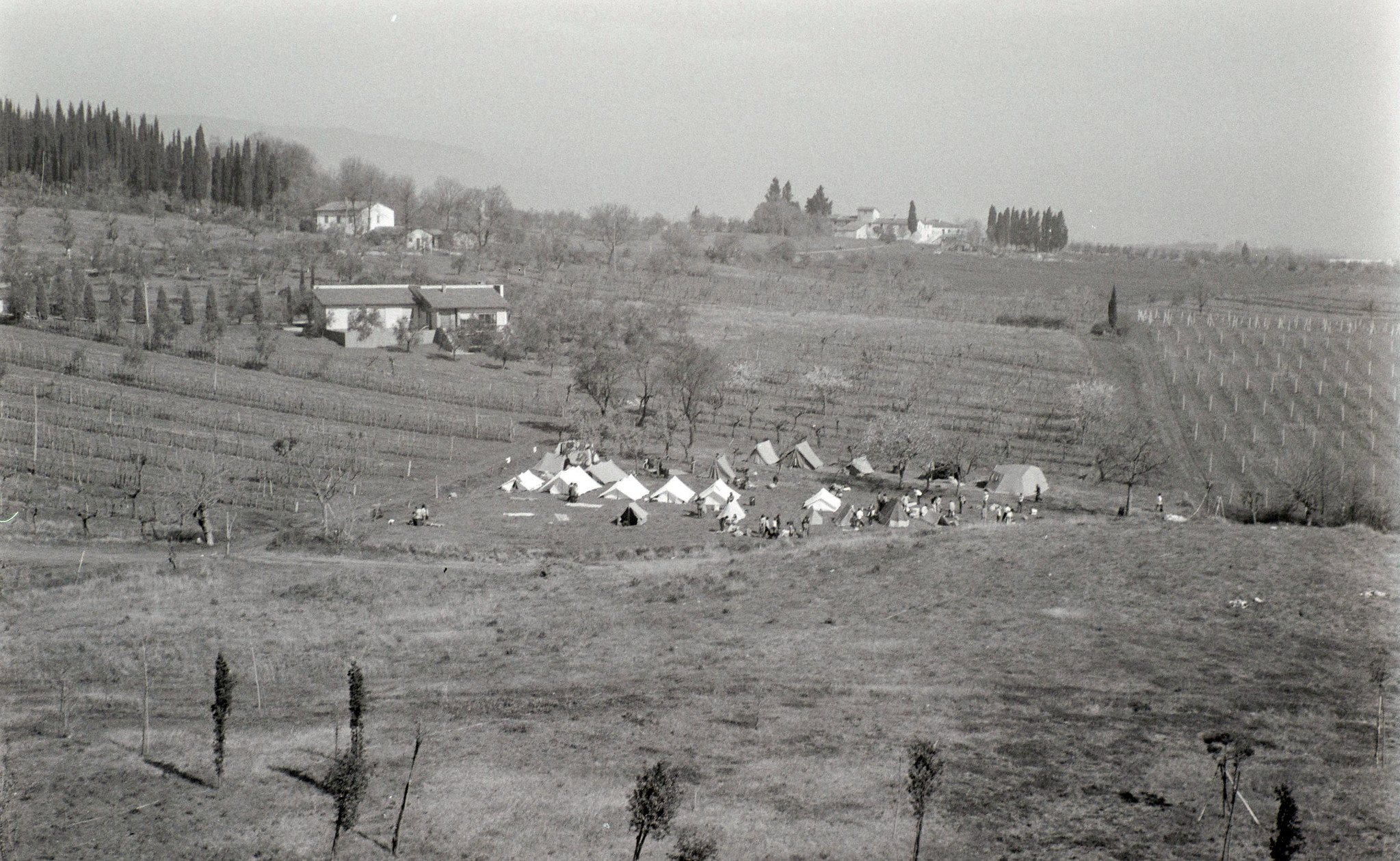 8652464020_356c10f60c_k