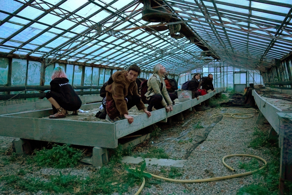 polli-dallevamento-27-foto-tiziano-massaroni