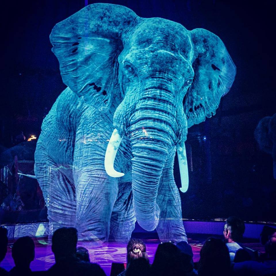 39883691_1883806668364910_3963584679050739712_n