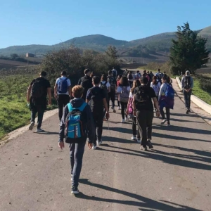 65423160_2353369464789441_1390385410269511680_n