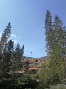 img_20190824_105334_resized_20190831_083157914