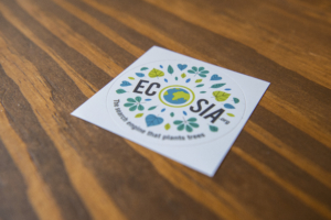 09 October 2018, Berlin: A flyer of the green search engine "Ecosia" is lying on an office desk. Following the temporary stop of deforestation in the Hambach forest, the company, which is committed to environmental protection, has submitted a purchase offer to the energy group RWE. Photo by: Arne Immanuel B'nsch/picture-alliance/dpa/AP Images