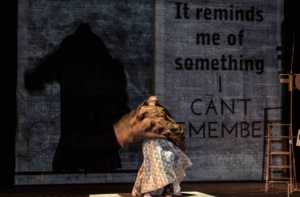 OPERA ROMA: VISIONI TRA CALDER E KENTRIDGE