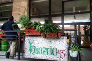 39813761_2202820966458041_2891278722747334656_o