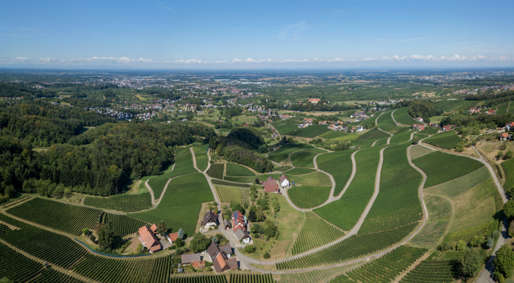 reben-obersasbach-luftbild