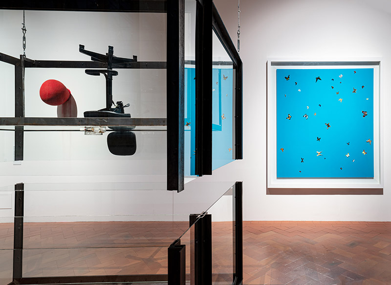 Reaching for the stars