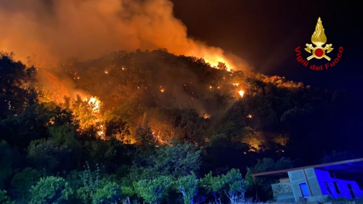 Incendi in Sicilia, foto LaPresse