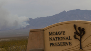 Brucia il deserto del Mojave