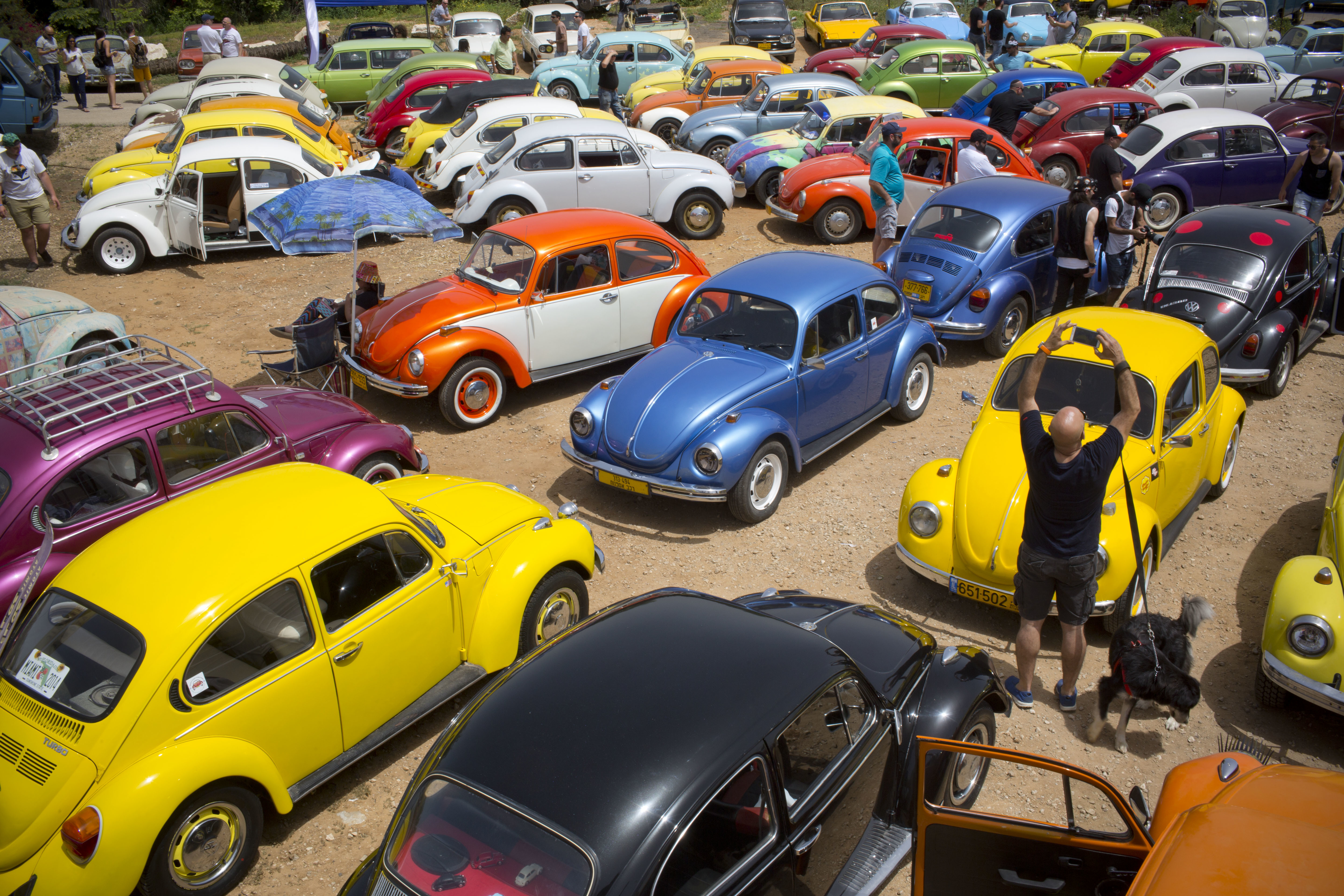 Volkswagen Beetles displayed during the annual gathering of the 