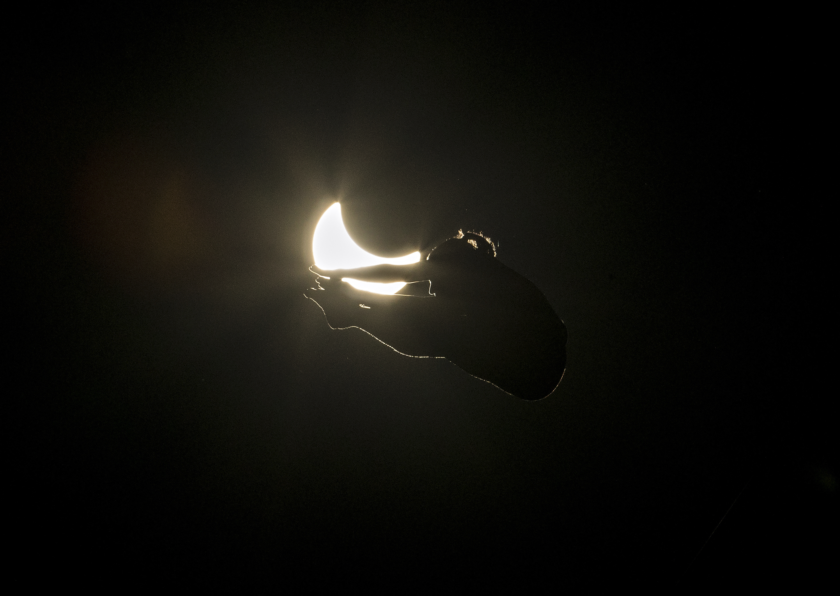 Helena Merten of Australia dives from the 20 meter platform into a pool in front of a full solar eclipse in McMinnville, OR, USA, on 21 August, 2017. // Dustin Snipes/Red Bull Content Pool // via AP Images  // For more content, pictures and videos like this please go to http://www.redbullcontentpool.com