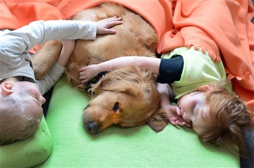 Cane utilizzato nella pet-therapy per i bambini