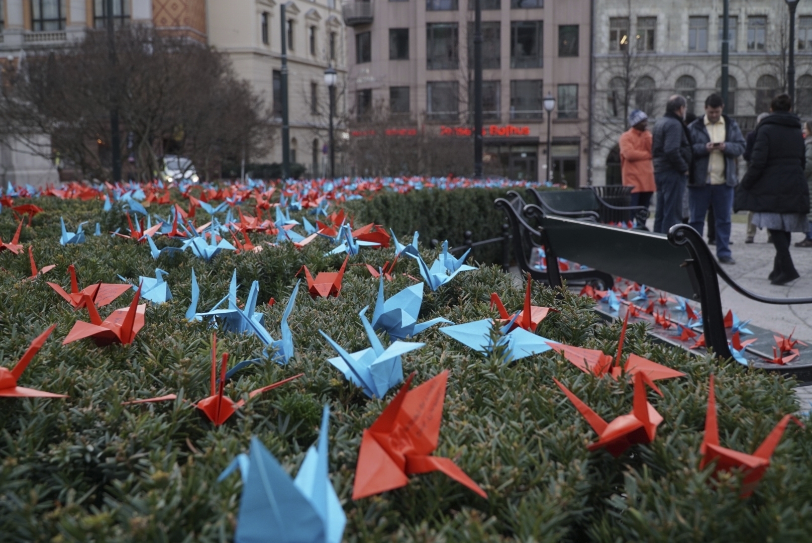 A thousand paper cranes installed by anti-nuclear activists in front of the Norwegian parliament in Oslo, Saturday, Dec. 9, 2017.   The International Campaign to Abolish Nuclear Weapons is the recipient on this year’s Nobel Peace Prize, has installed 1,000 paper cranes made by children in Hiroshima, the site of the world’s first atomic bomb attack in Japan, outside the Norwegian Parliament ahead of formally receiving the prize. (AP Photo/David Keyton)
