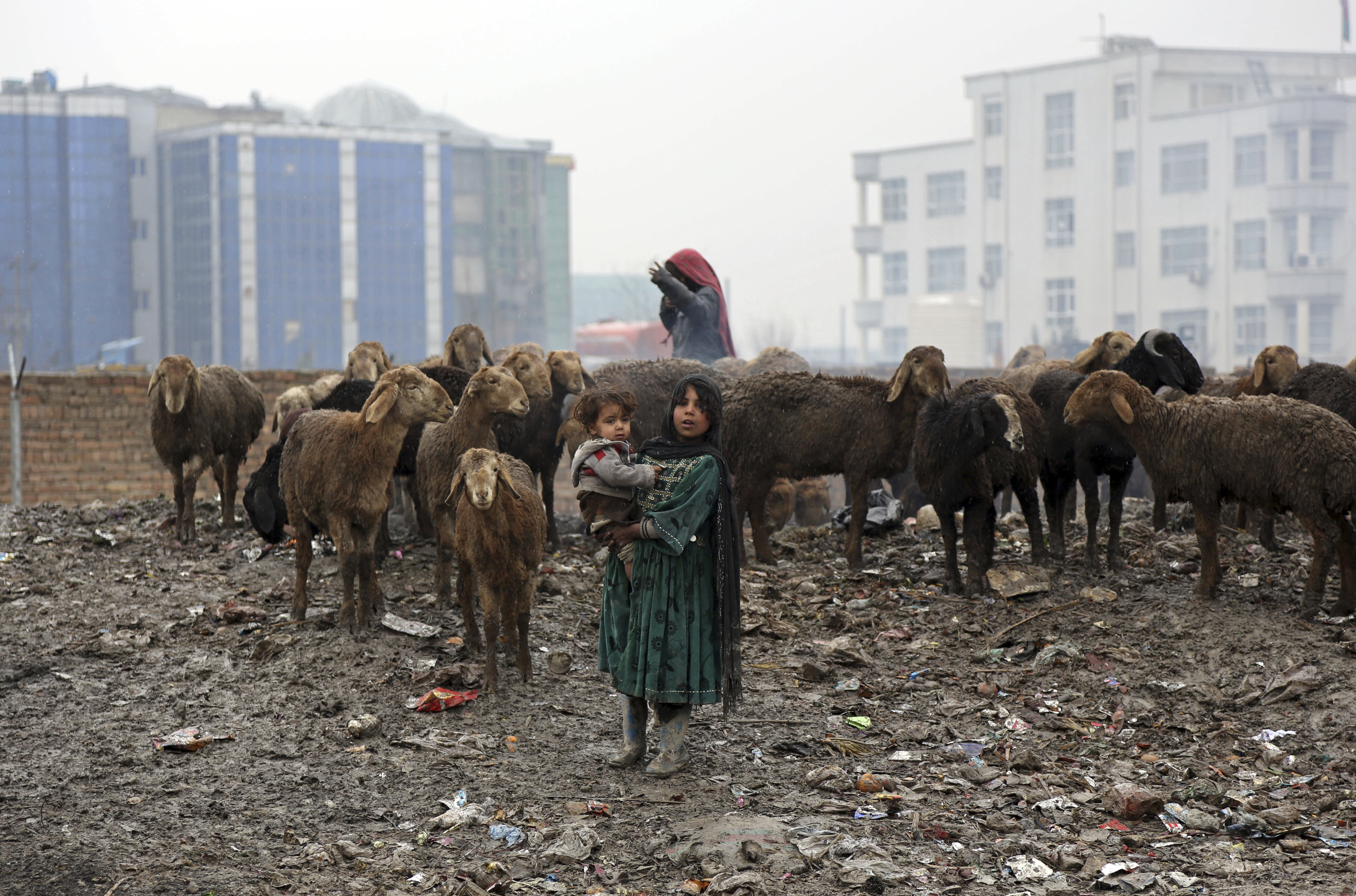 An Afghan girl holds her sister as she poses for a photograph near her sheep in Kabul, Monday, Feb. 12, 2018. (AP Photo/Rahmat Gul)