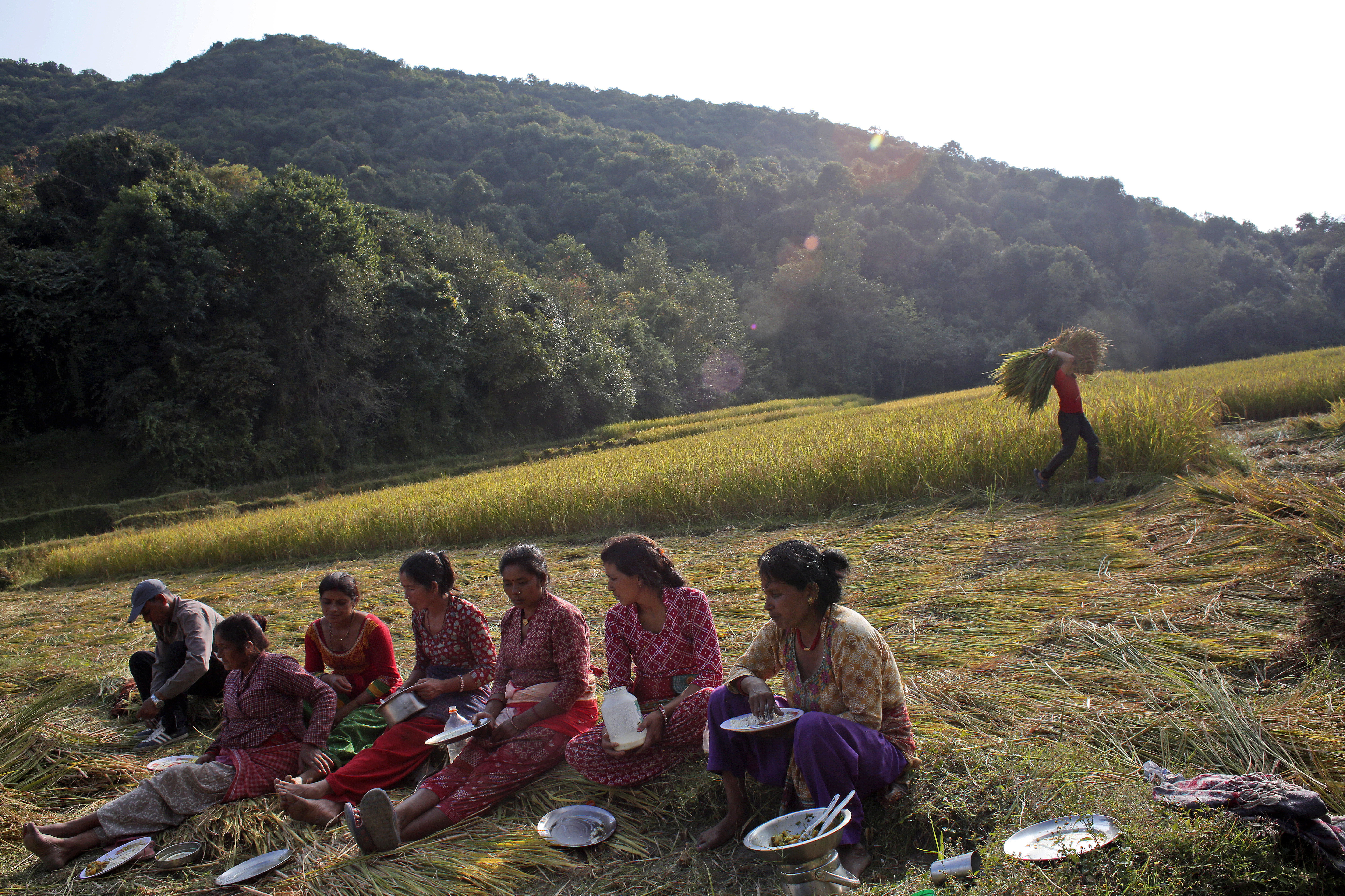 Nepalese farmers take a lunch break while harvesting paddy in Chaukot, Kavre District, Nepal, Monday, Oct. 23, 2017. Agriculture is the main source of food, income, and employment for the majority of people in Nepal. (AP Photo/Niranjan Shrestha)