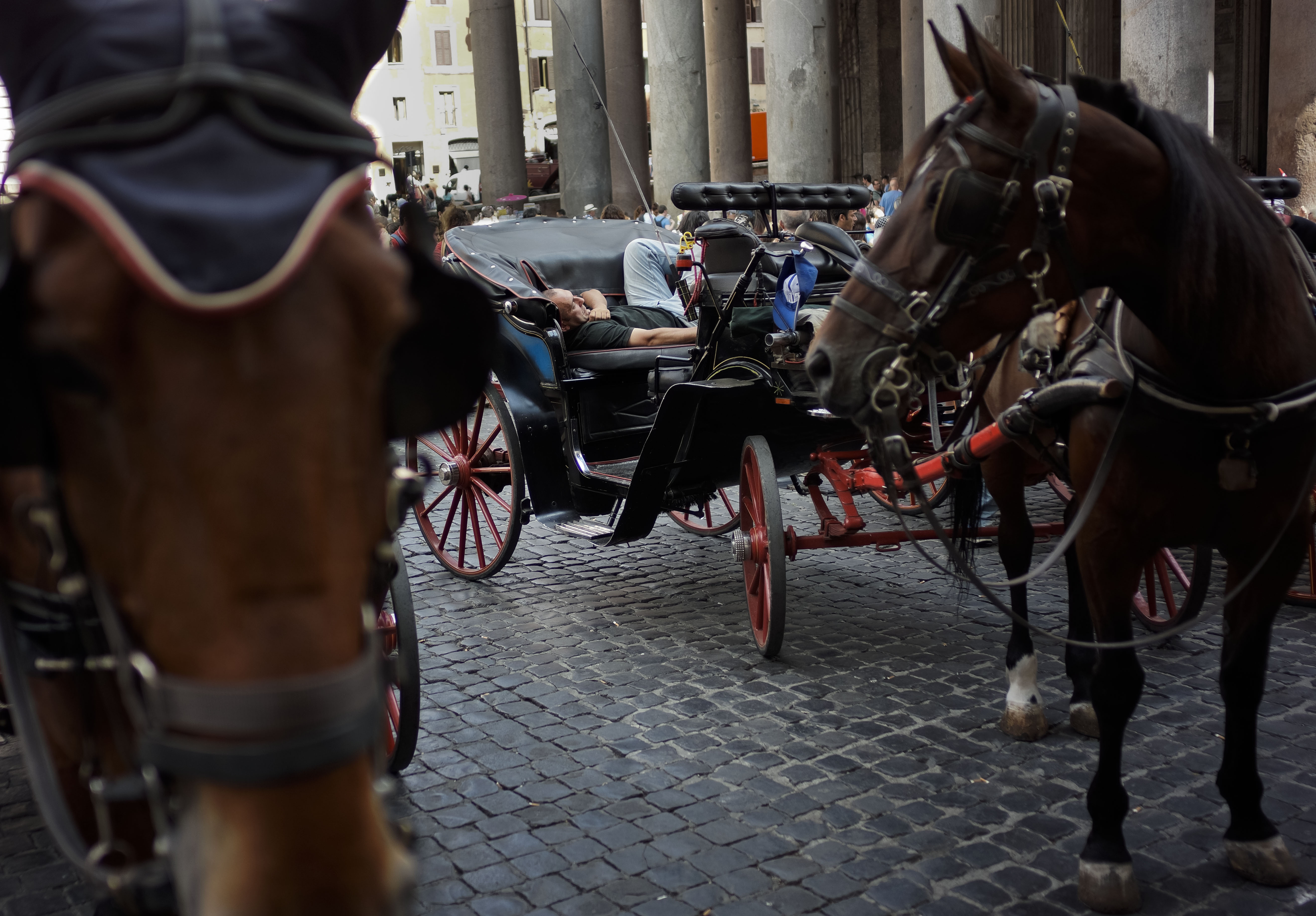 A carriage driver waits for clients in front of Rome's Pantheon, Friday, June 28, 2013. Roman horse carriages are very popular among tourists to get around town, especially in the Summer. (AP Photo/Domenico Stinellis)