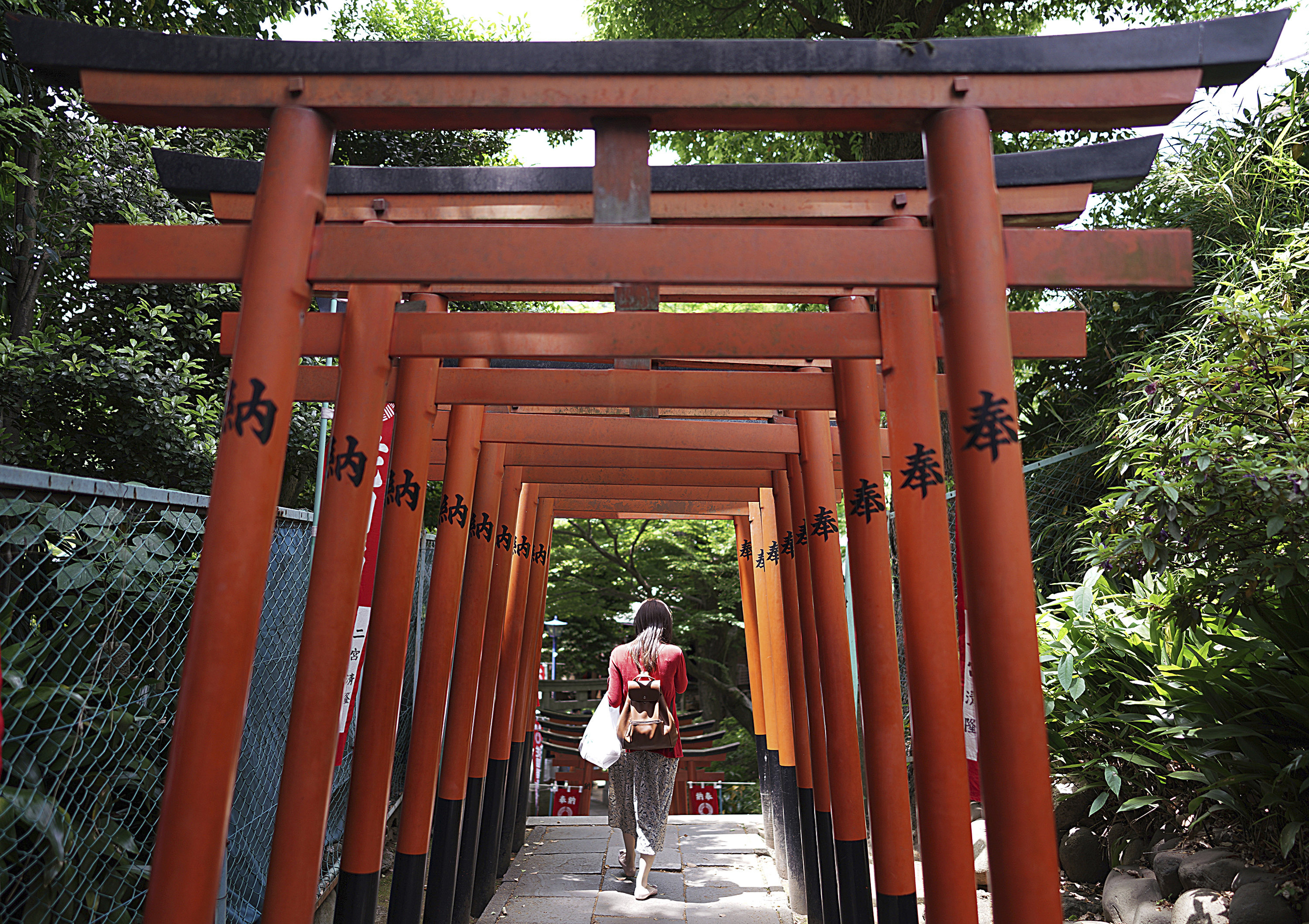 A visitor walks through a path lined with small shrine arches or 
