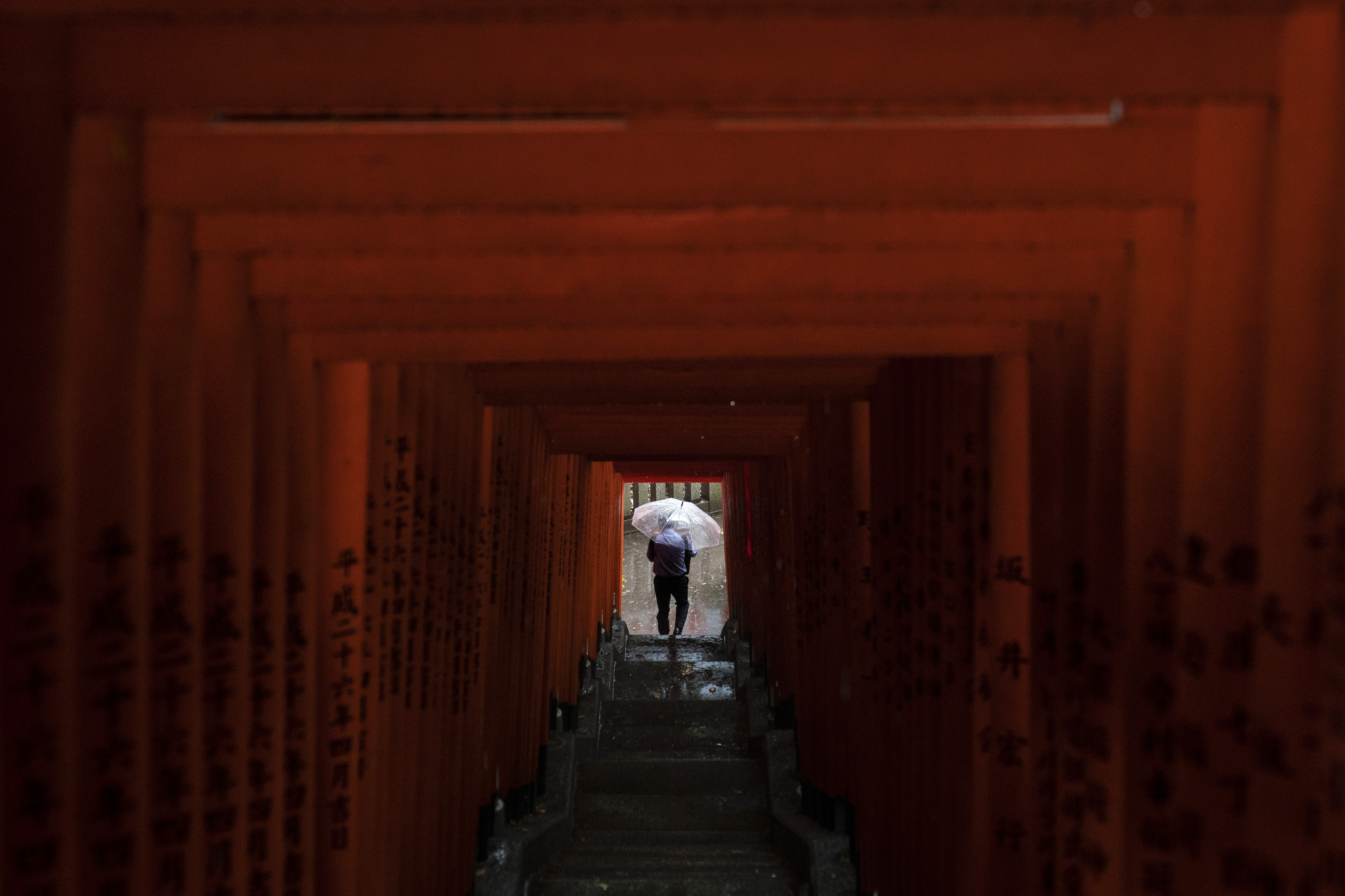 A man with an umbrella walks through a tunnel of torii gates at the Hie Shrine Monday, June 10, 2019, in Tokyo as the region enters a rainy season. (AP Photo/Jae C. Hong)