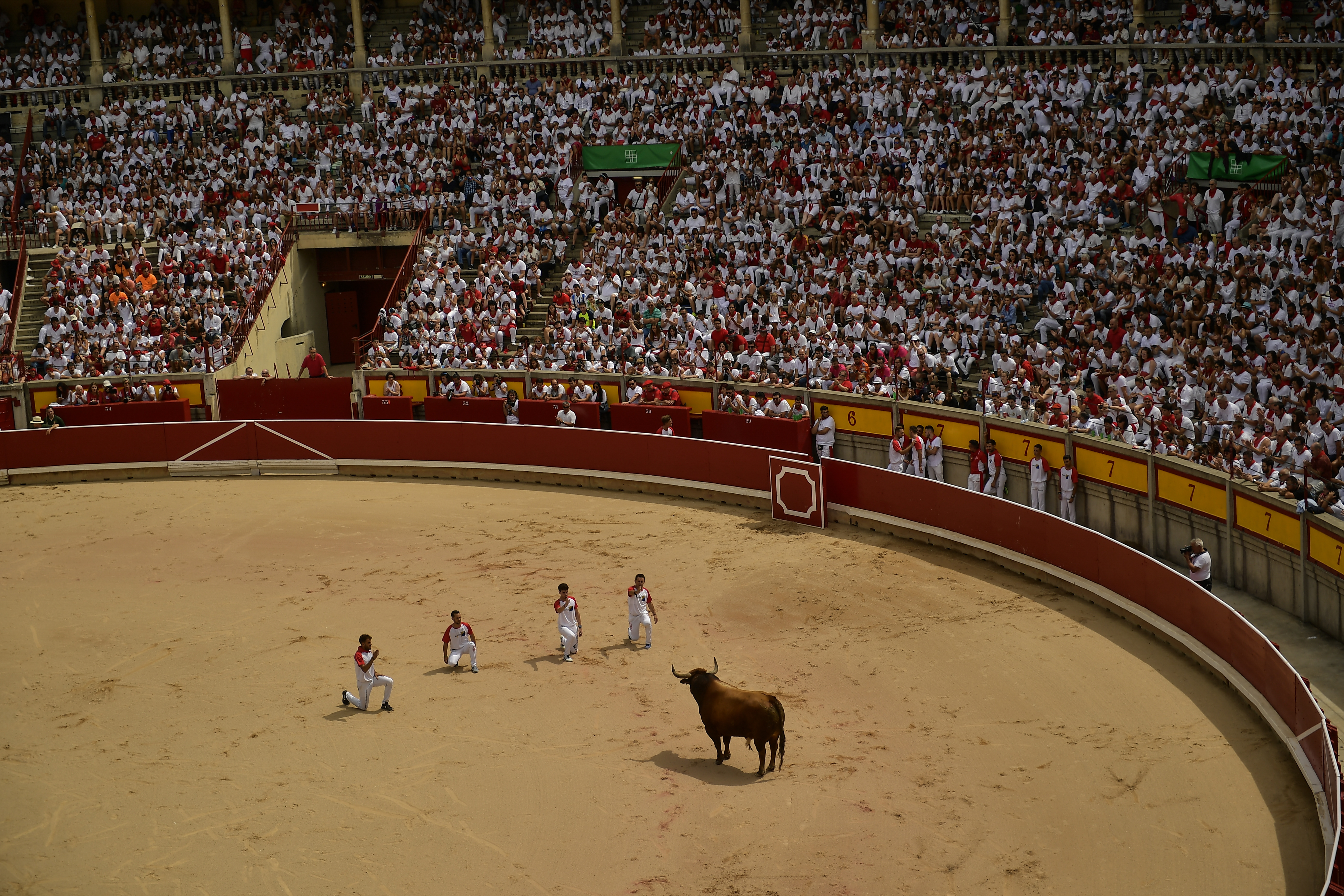 Members of ''Recortadores'' saulte a bull during a performance in the bullring at the San Fermin Festival, in Pamplona, northern Spain, Saturday, July 13, 2019. Revelers from around the world flock to Pamplona every year to take part in the eight days of the running of the bulls. (AP Photo/Alvaro Barrientos)