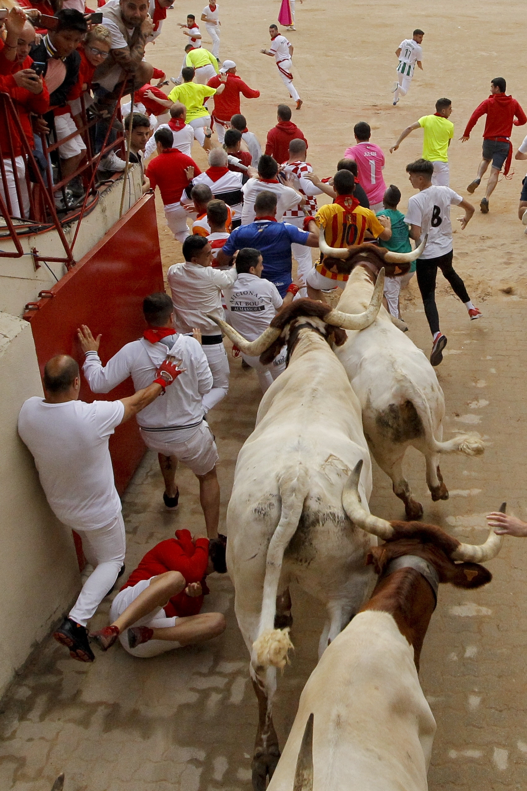 Revellers and tamed oxen bulls arrive at the bullring during the running of the bulls at the San Fermin Festival, in Pamplona, northern Spain, Sunday, July 14, 2019. The San Fermin fiesta made internationally famous by Ernest Hemingway in his novel 