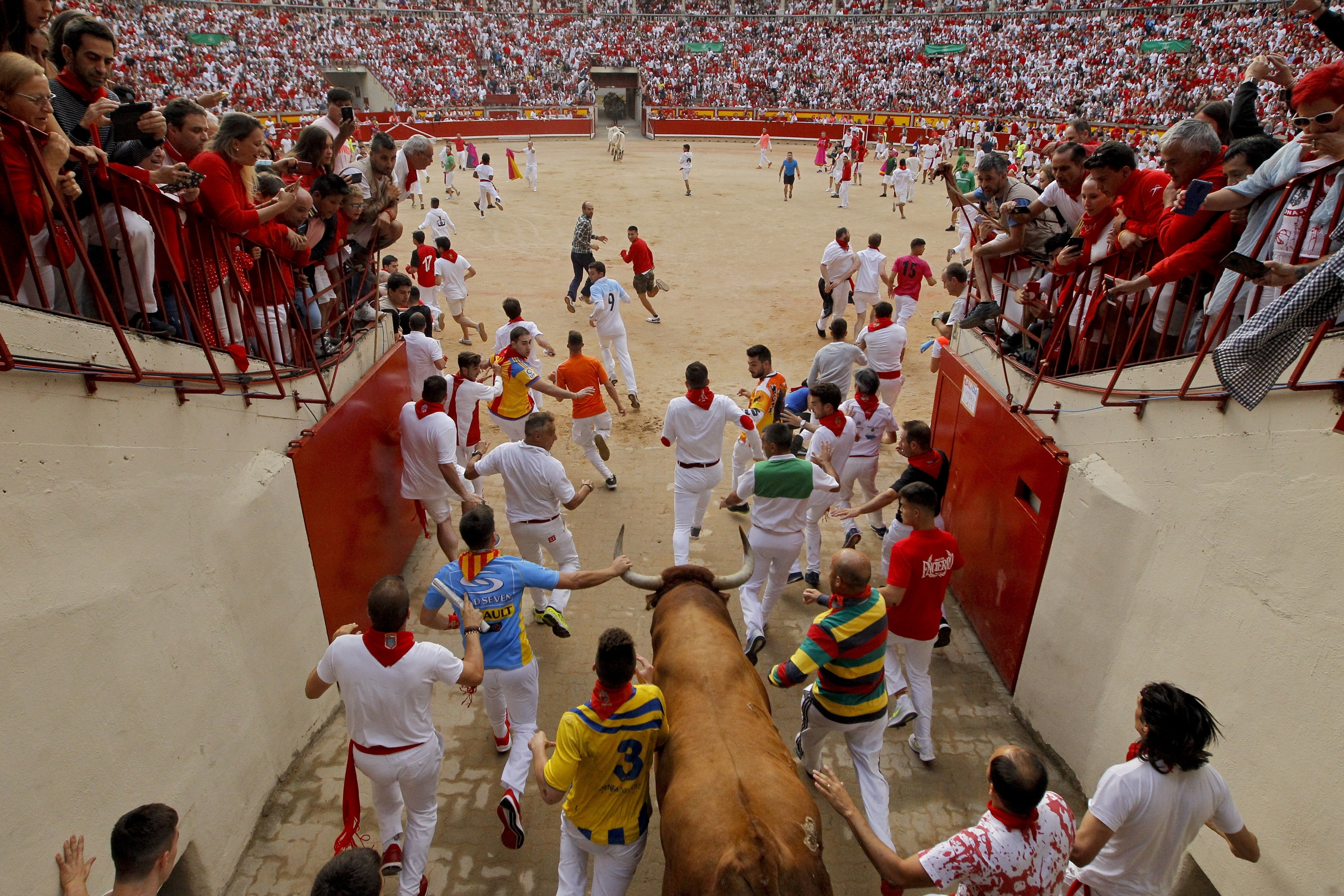 Revellers and a fighting bull arrive at the bullring during the running of the bulls at the San Fermin Festival, in Pamplona, northern Spain, Sunday, July 14, 2019. The San Fermin fiesta made internationally famous by Ernest Hemingway in his novel 
