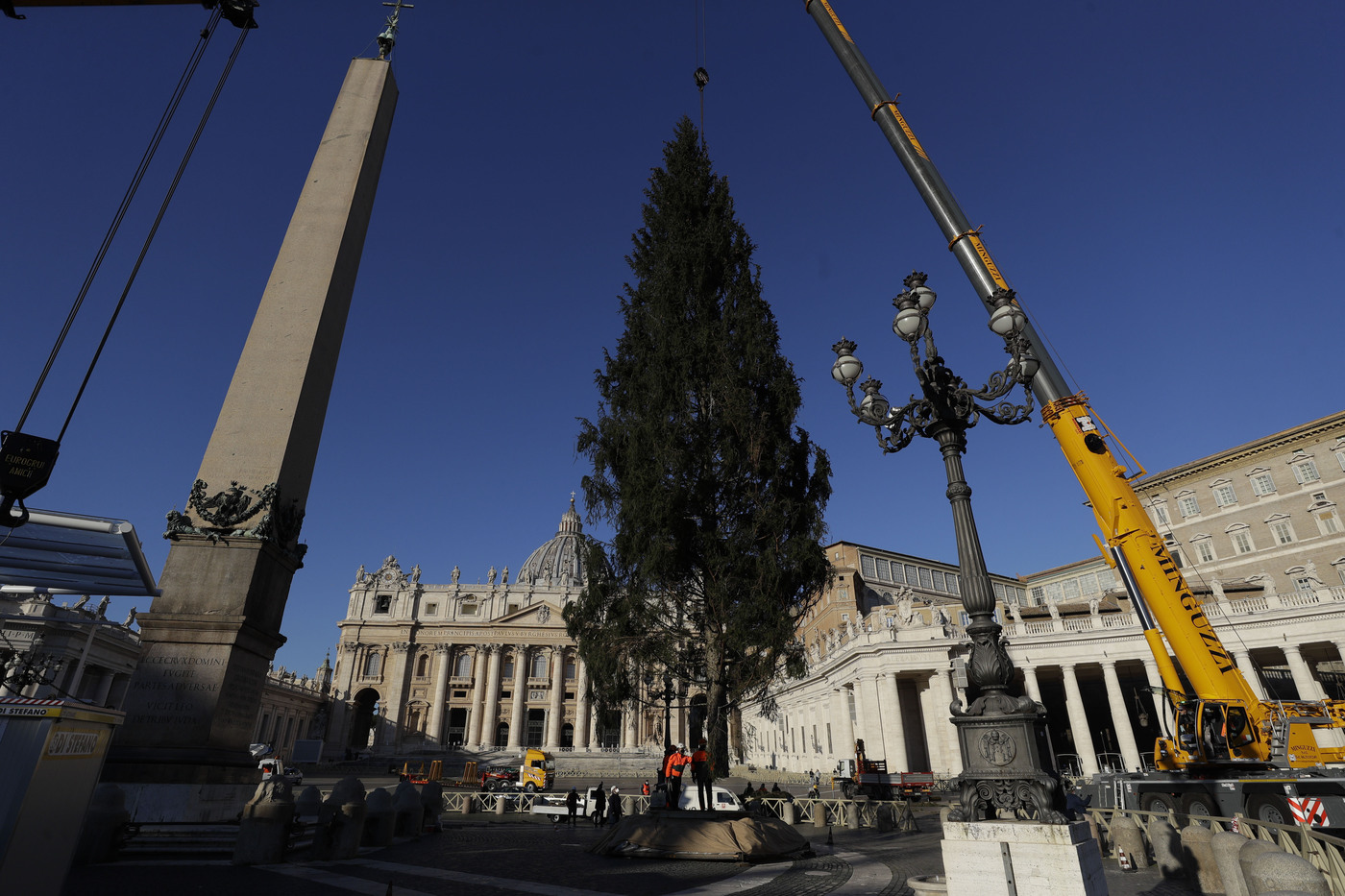 A crane lifts a 28mt (91feet) tall fir tree in St. Peter's Square, at the Vatican, Monday, Nov. 30, 2020. The tree, which will be trimmed as a Christmas tree, comes from Kocevje, Slovenia. (AP Photo/Gregorio Borgia)