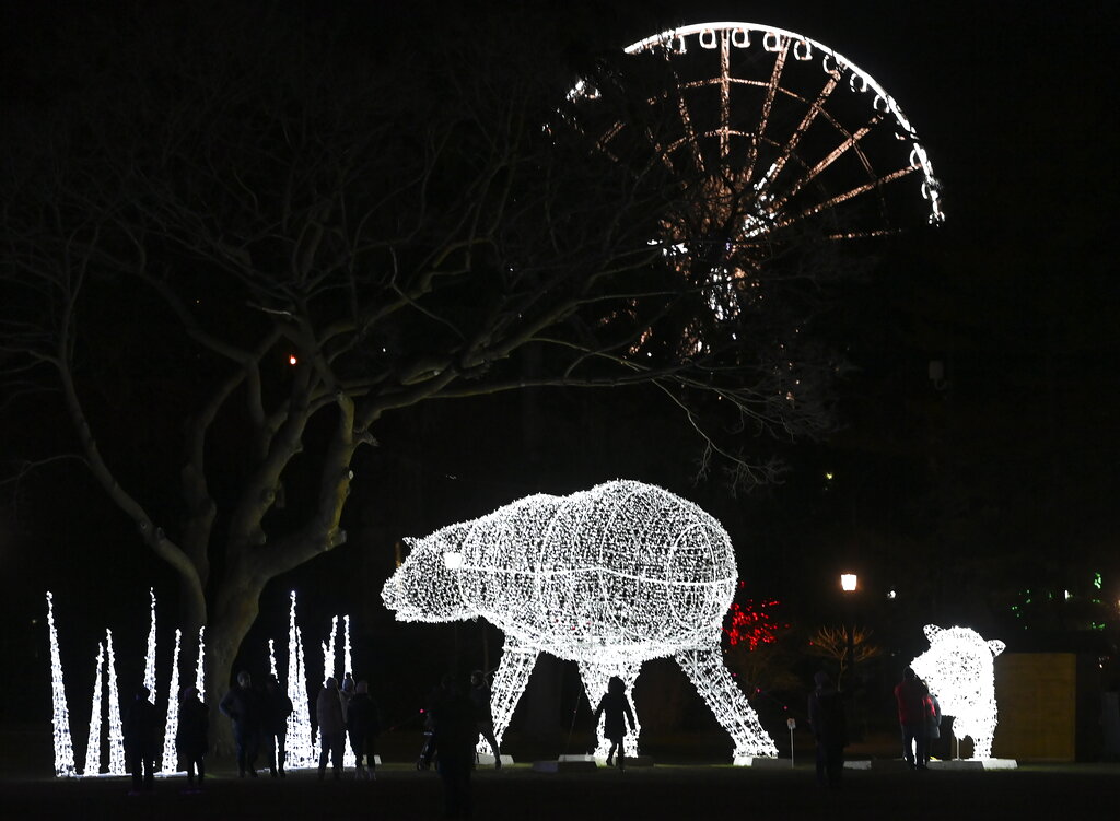 People overlook the holiday lights during the annual Winter Festival of Lights in Niagara Falls, Ontario, Sunday, Dec. 6, 2020. (Nathan Denette/The Canadian Press via AP)