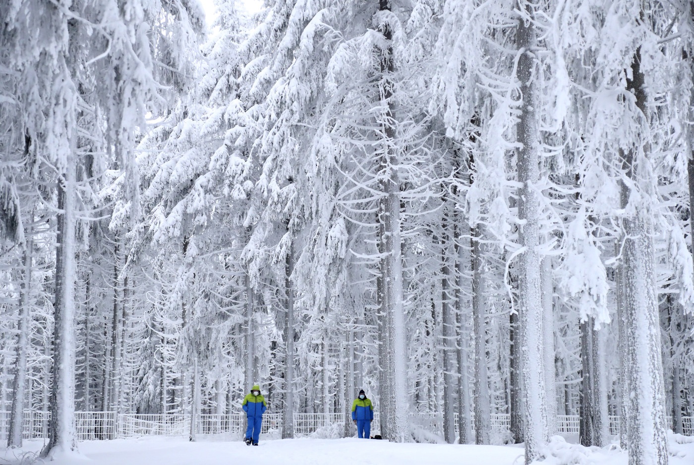 Coaches stand under snow covered trees during the women's 7.5 km sprint race at the Biathlon World Cup in Oberhof, Germany, Friday, Jan. 8, 2021. (AP Photo/Matthias Schrader)