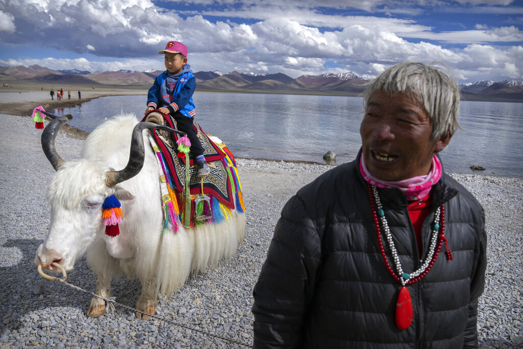 A Tibetan man stands nearby as a young tourist poses for photos on a white yak at the shore of the lake in Namtso in western China's Tibet Autonomous Region, as seen during a government organized visit for foreign journalists, Wednesday, June 2, 2021. (AP Photo/Mark Schiefelbein)