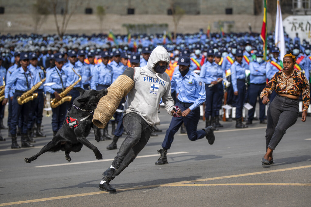 Ethiopian police stage a demonstration to show the use of police dogs to catch a mock thief, center, stealing the phone of a victim, right, both played by police officers, at a parade to display new police uniforms and instruct them to maintain impartiality and respect the law during the upcoming election, in Meskel Square in downtown Addis Ababa, Ethiopia Saturday, June 19, 2021. Pekka Haavisto, Finland's foreign minister, made critical remarks about Ethiopia's leadership on Friday, but the police officer playing the thief wearing a Finland sweatshirt said it was a coincidence and denied any connection to Friday's comments. (AP Photo/Ben Curtis)