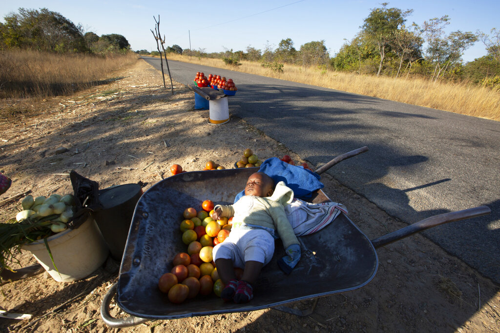 A baby naps in a hawkers wheelbarrow on the side of a road Zvimba, rural Zimbabwe on Friday, June, 25, 2021. A new surge of the coronavirus is finally penetrating Africa’s rural areas, where most people on the continent live, spreading to areas that once had been seen as safe havens from infections that hit cities particularly hard. (AP Photo/Tsvangirayi Mukwazhi)