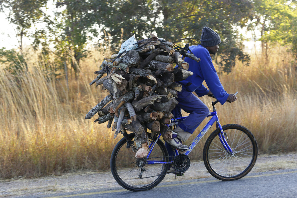 A man carries firewood on his bicycle in Zvimba, rural Zimbabwe on Friday, June, 25, 2021. A new surge of the coronavirus is finally penetrating Africa’s rural areas, where most people on the continent live, spreading to areas that once had been seen as safe havens from infections that hit cities particularly hard. (AP Photo/Tsvangirayi Mukwazhi)