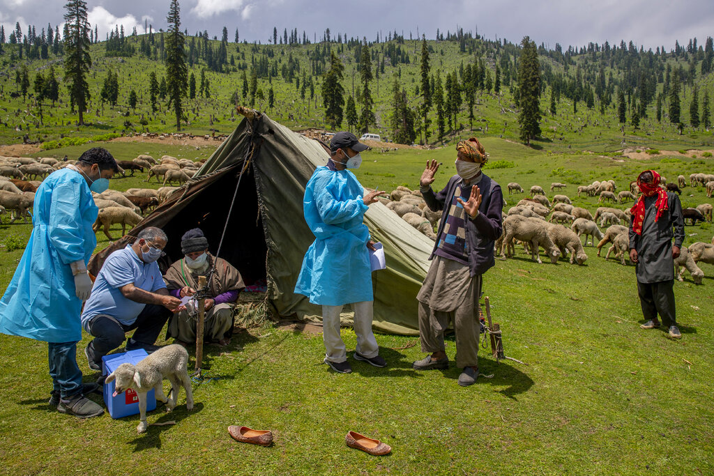 Health workers talk to Kashmiri nomads during a COVID-19 vaccination drive in Tosamaidan, southwest of Srinagar, Indian controlled Kashmir on June 21, 2021. The challenge for health workers travelling to to long distances for vaccinating mostly shepherds and nomadic herders in the remote meadows of the Himalayan region has not been the treacherous terrain but to persuade women to get COVID-19 vaccines. Fueled by misinformation and mistrust, many residents, particularly in remote rural areas, believe that vaccines cause impotence, serious side effects and could even kill. Some simply say they do not need the shots because they’re immune to the coronavirus. (AP Photo/Dar Yasin)