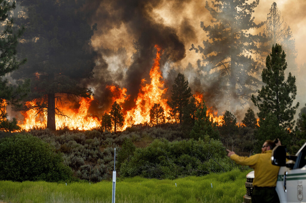 Firefighter Kyle Jacobson monitors the Sugar Fire, part of the Beckwourth Complex Fire, burning in Plumas National Forest, Calif., on Friday, July 9, 2021. (AP Photo/Noah Berger)