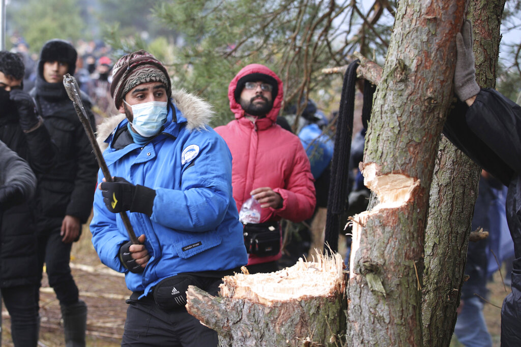 Migrants from the Middle East and elsewhere chops down trees as they gather at the Belarus-Poland border near Grodno, Belarus, Monday, Nov. 8, 2021. Poland increased security at its border with Belarus, on the European Union's eastern border, after a large group of migrants in Belarus appeared to be congregating at a crossing point, officials said Monday. The development appeared to signal an escalation of a crisis that has being going on for months in which the autocratic regime of Belarus has encouraged migrants from the Middle East and elsewhere to illegally enter the European Union, at first through Lithuania and Latvia and now primarily through Poland. (Leonid Shcheglov/BelTA via AP)