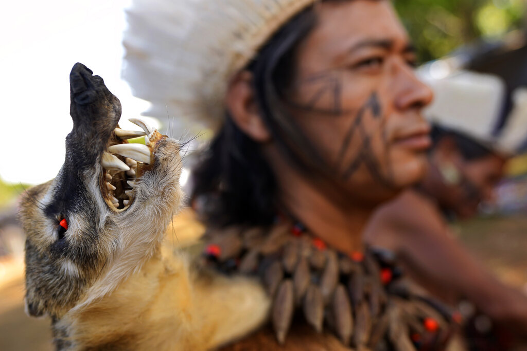 A Tapuia Indigenous man wearing traditional clothing adorned with an embalmed animal stands on the sidelines of a ceremony called The Meeting of the First Peoples, lead by women attending the 18th annual Free Land Indigenous Camp in Brasilia, Brazil, Friday, April 8, 2022. The 10-day event aims to show the unity of Brazil's Indigenous peoples in their fight for the demarcation of their lands and their rights. (AP Photo/Eraldo Peres)