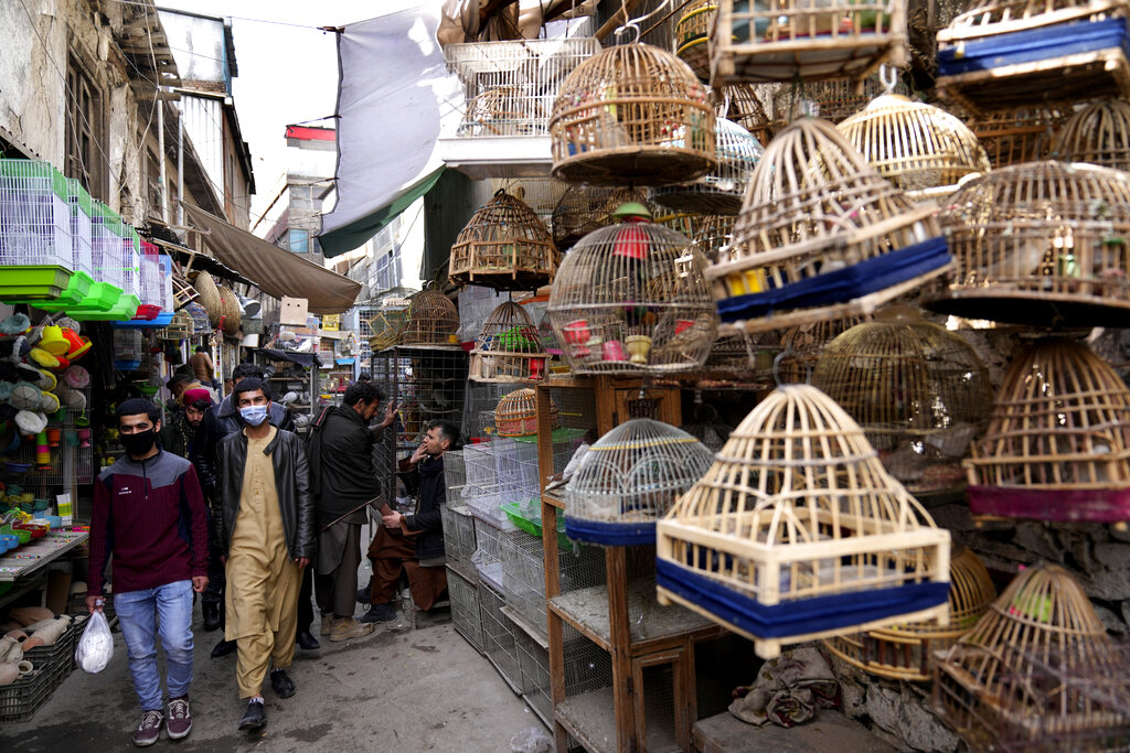 People walk through the bird market in Kabul, Afghanistan, Monday, Feb. 21, 2022. (AP Photo/Hussein Malla)