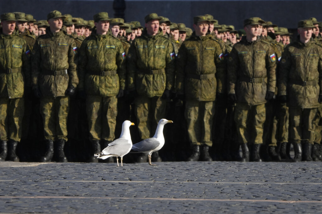 Seagulls walk along during a rehearsal for the Victory Day military parade which will take place at Dvortsovaya (Palace) Square on May 9 to celebrate 77 years after the victory in World War II in St. Petersburg, Russia, Thursday, April 28, 2022. (AP Photo/Dmitri Lovetsky)