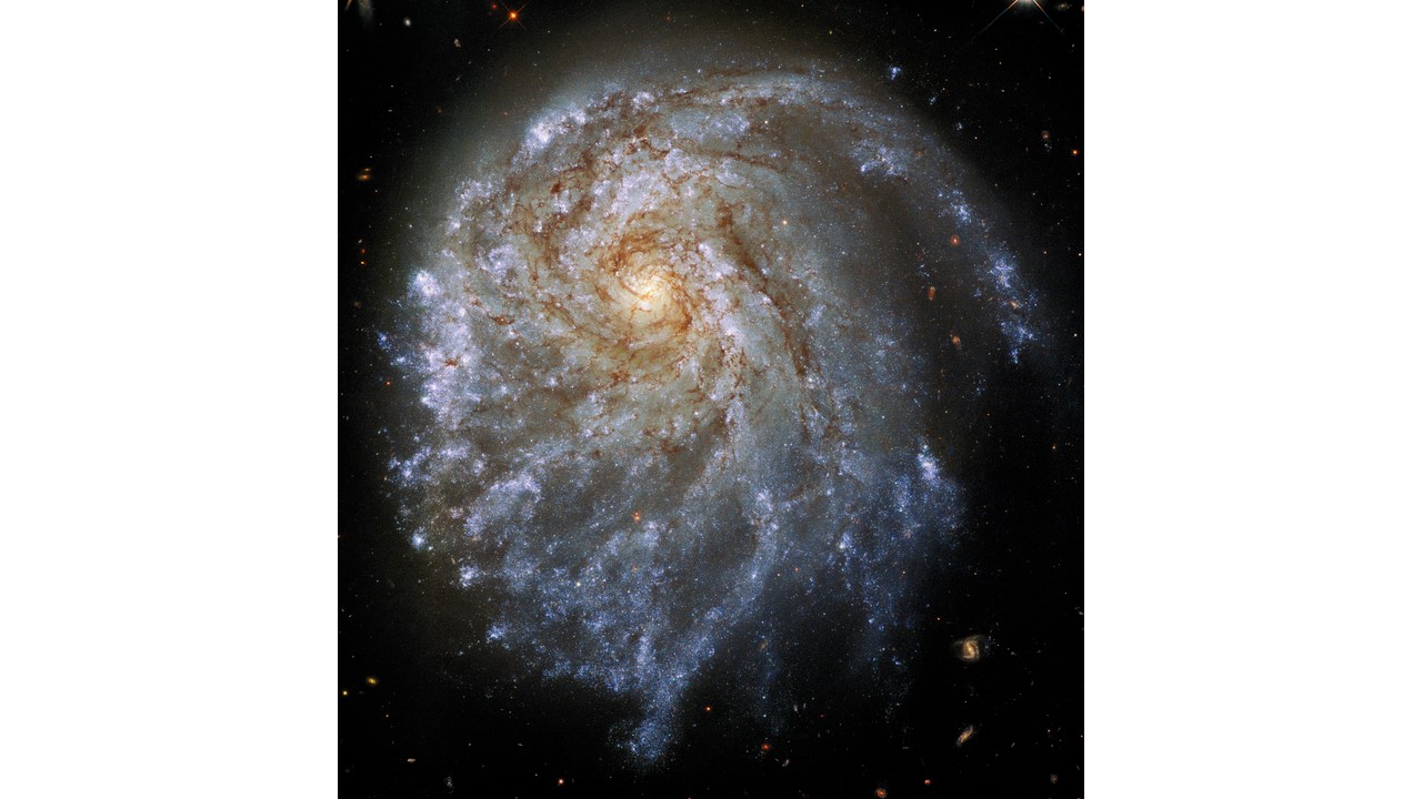 spiral galaxy NGC 2276 - IMAGE: NASA, ESA, STScI, Paul Sell (University of Florida)
ACKNOWLEDGMENT: Leo Shatz