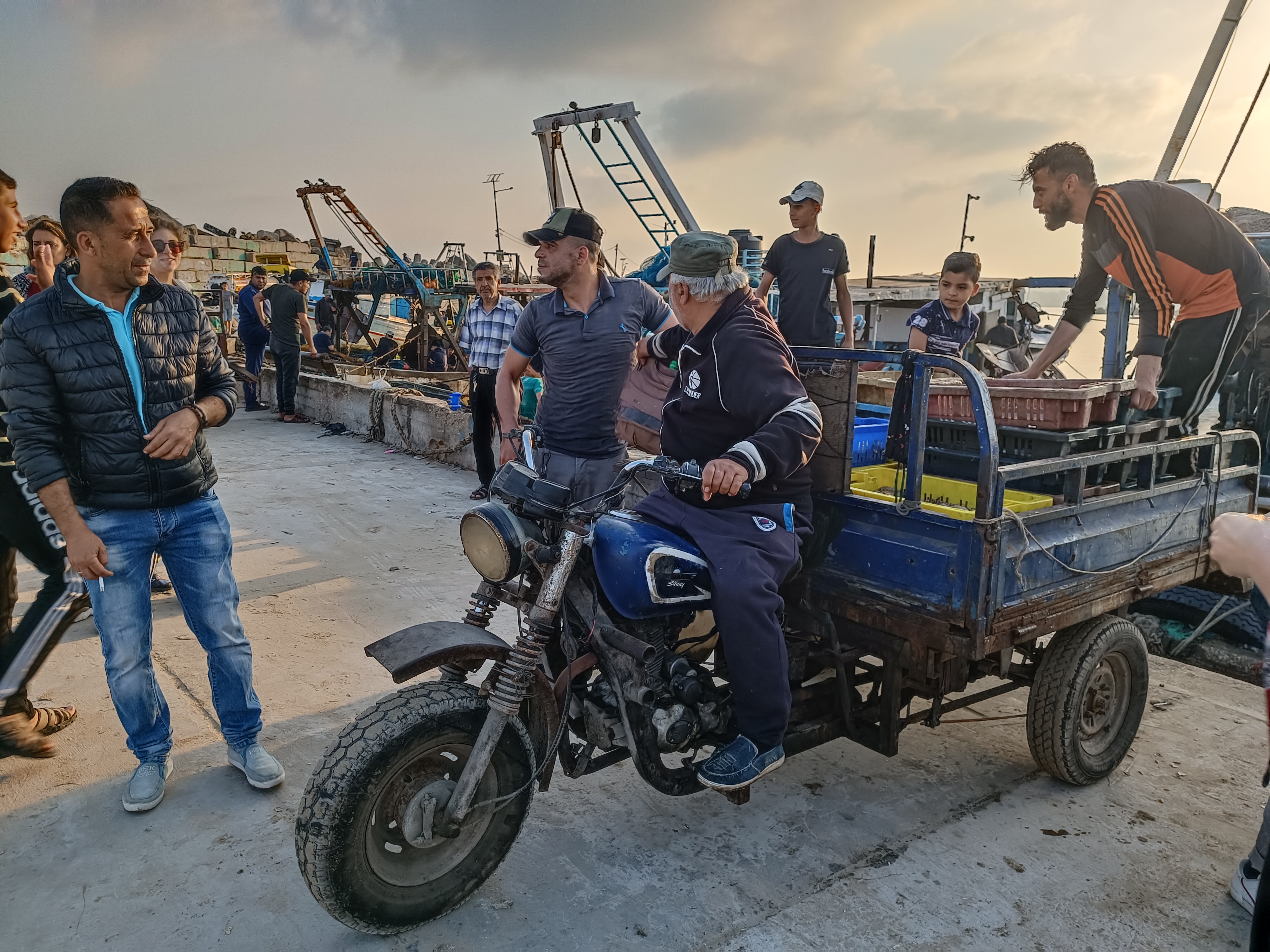 Porto di Gaza City, caricando il pesce da portare al mercato