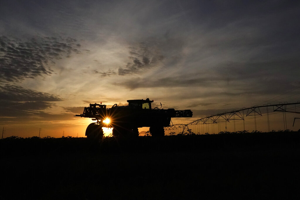 A farmer works on his cotton field, Tuesday, Oct. 4, 2022, near Cotton Center, Texas. Drought and extreme heat have severely damaged much of the cotton harvest in the U.S., which produces roughly 35% of the world's crop. (AP Photo/Eric Gay)